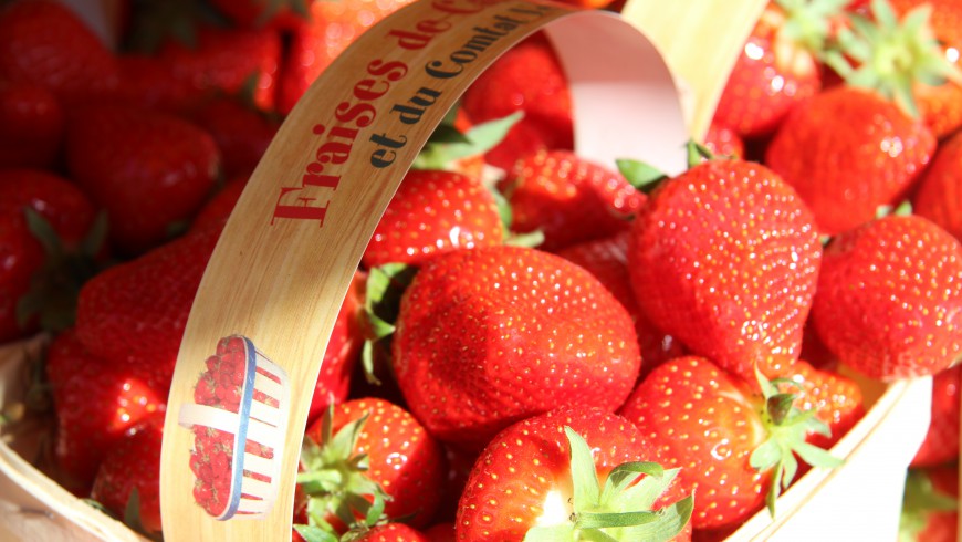 Die perfekte Erdbeere…