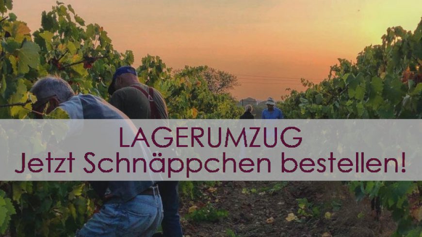 Lagerumzug – jetzt ist Zeit für Wein-Schnäppchen!