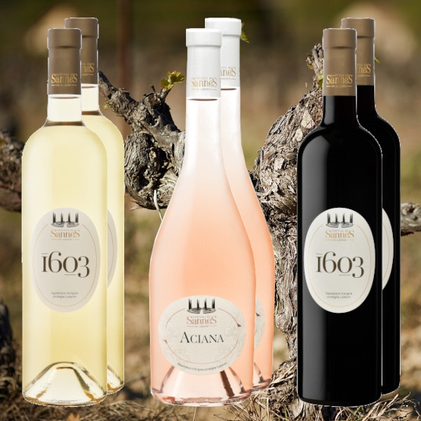 Château de Sannes-Paket