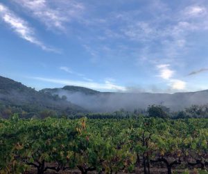 Chateau Fontver Nebel Chateau Fontver Nebel