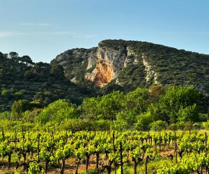 Domaine Fontvert Domaine Fontvert