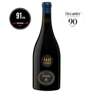 Château de Sannes Castini Rot 2023 BIO