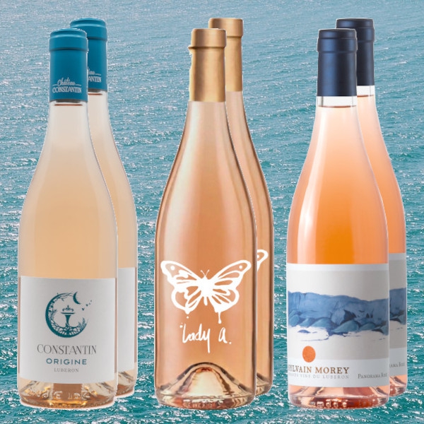 Sommer-Rosépaket