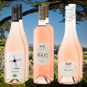Château de Sannes-Rosépaket